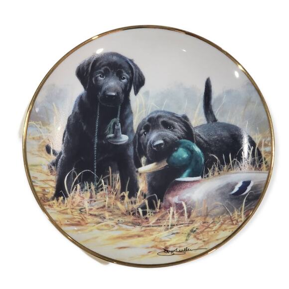 Franklin Mint BEGINNER'S LUCK Labrador Dog Collector Plate by James Killen - Picture 1 of 5